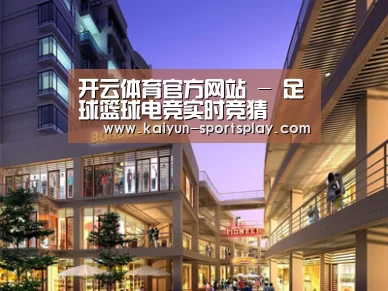 案例展示一(图1)