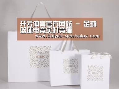 项目名称十一