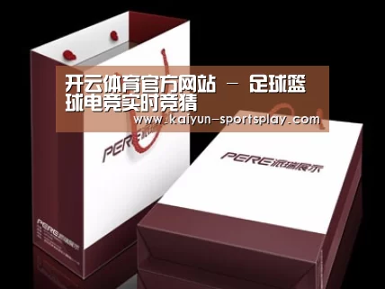 项目名称十二