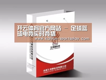 项目名称十三