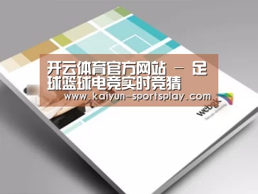 项目名称九