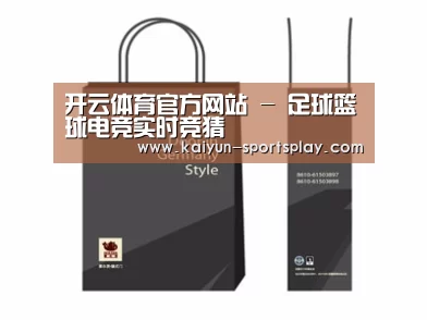 项目名称十四