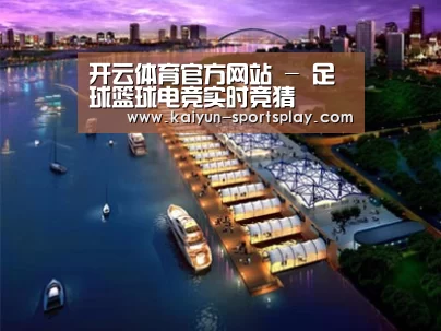 案例展示八