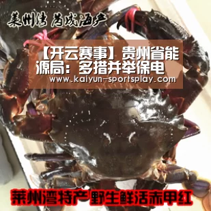 【开云赛事】贵州省能源局:多措并举保电煤、保供电(图2) 开云体育