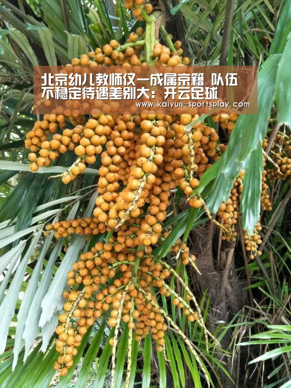 开云足球