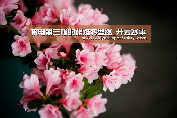 开云足球
