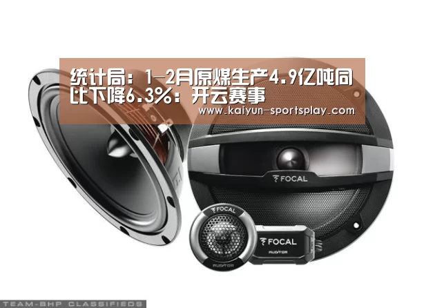统计局:1-2月原煤生产4.9亿吨同比下降6.3%:开云赛事(图3) 开云篮球